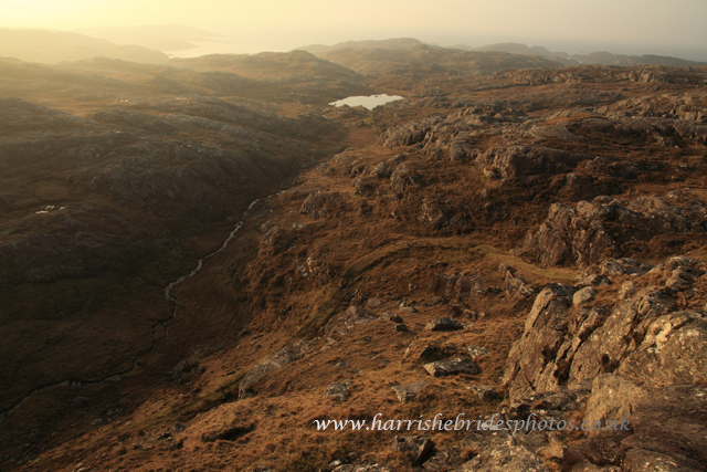 Gallery of images with albums/East Harris as the main theme